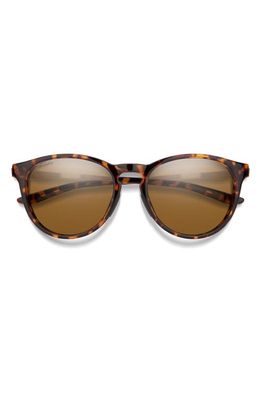 Smith Wander 55mm ChromaPop™ Polarized Round Sunglasses in Tortoise /Brown 