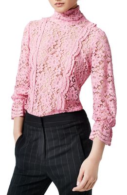Smythe Scalloped Sheer Cotton Blend Lace Top in Flamingo