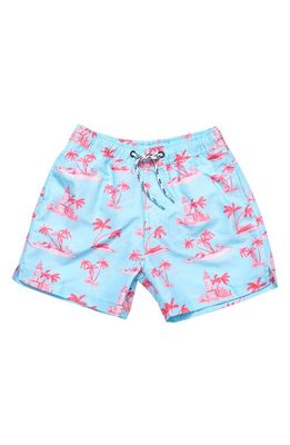 Snapper Rock Kids' Lighthouse Island Swim Trunks in Blue