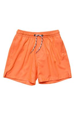 Snapper Rock Kids' Tangerine Volley Board Shorts in Orange