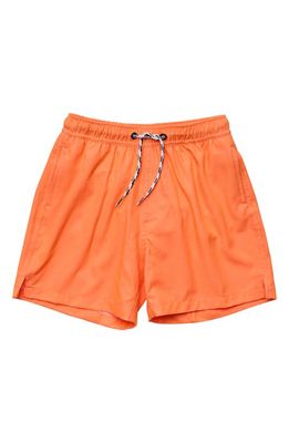 Snapper Rock Kids' Tangerine Volley Shorts in Orange
