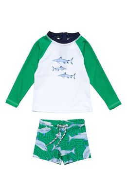 Snapper Rock Reef Shark Two-Piece Rashguard Swimsuit in Green 