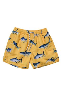 Snapper Rock Sunrise Shark Volley Board Shorts in Yellow