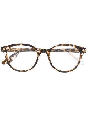 Snob leopard-print glasses - Brown