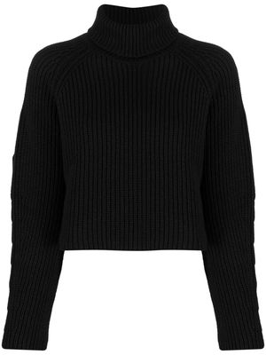 Société Anonyme ribbed-knit roll-neck jumper - Black