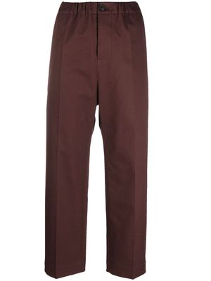 Sofie D'hoore straight-leg cropped trousers - Brown