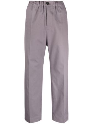 Sofie D'hoore straight-leg cropped trousers - Grey
