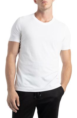 SOFT CLOTH Malibu V-Neck T-Shirt in Natural