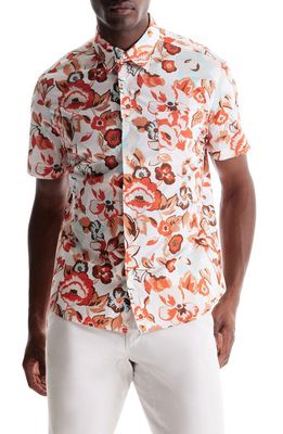 SOFT CLOTH Soft Oversize Point Collar Poplin Shirt in Natural Aloha Pop Print