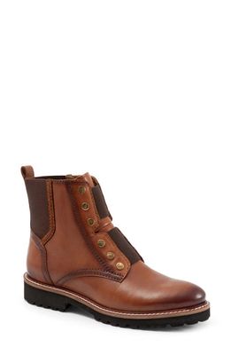 SoftWalk Indiana Chelsea Boot in Luggage