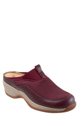 SoftWalk® Aberdeen Mule in Burgandy 