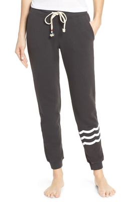 Sol Angeles Essential Jogger Pants in V Black