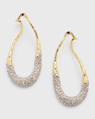 Solanales Crystal Front-Back Link Earrings
