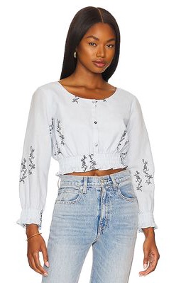 Something Navy Cropped Embroidered Long Sleeve Top in Baby Blue