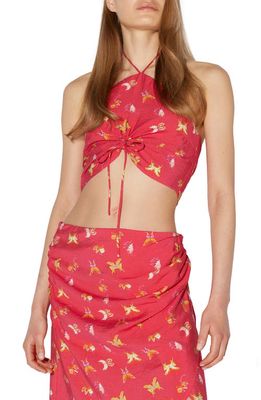 SOMETHING NEW Buffy Crop Halter Top in Innuendo Aop Butterfly