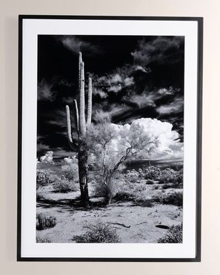 "Sonoran Desert" Photography Art Print