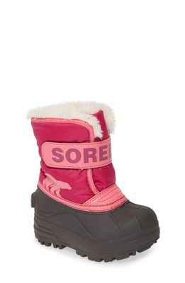 SOREL Snow Commander Insulated Waterproof Boot in Tropic Pink/Deep Blush