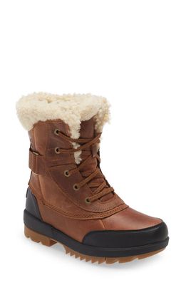 SOREL Tivoli Parc Waterproof Genuine Shearling Collar Winter Boot in Velvet Tan