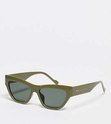 South Beach cat eye sunglasses in khaki-Green