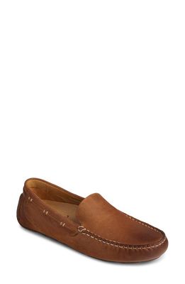 Sperry Harpswell Driving Shoe in Tan