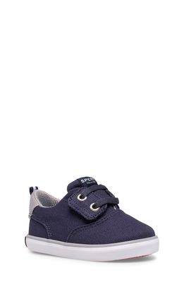 Sperry Spinnaker Jr. Washable Crib Shoe in Navy