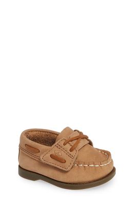SPERRY TOP-SIDER Sperry Kids Authentic Original Crib Boat Shoe in Sahara