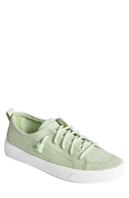 SPERRY TOP-SIDER SPERRY TOP-SIDER Shorefront Low Top Sneaker in Light Green