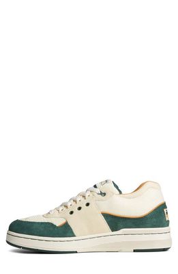 Sperry US12 Sneaker in Green Multi 