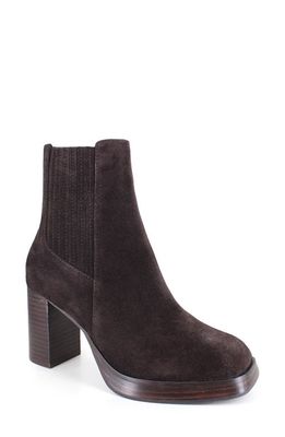 Splendid Andromeda Chelsea Boot in Dark Chocolate