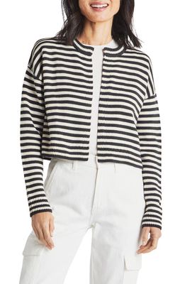 Splendid Lily Stripe Cotton Blend Crop Cardigan in Lead/Moonstone