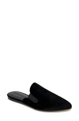 Splendid Liza Pointed Toe Mule in Black Velvet