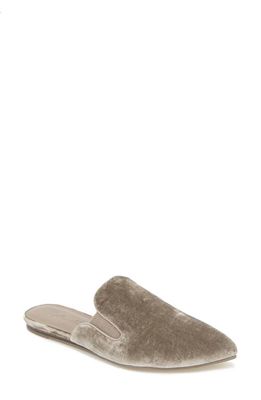 Splendid Liza Pointed Toe Mule in Khaki