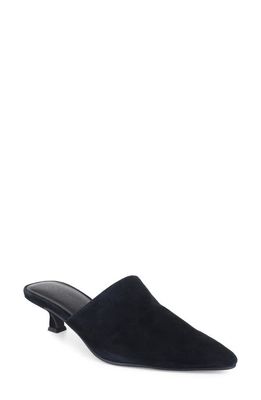 Splendid Louisa Pointed Toe Mule in Black