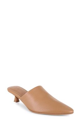 Splendid Louisa Pointed Toe Mule in Cuoio