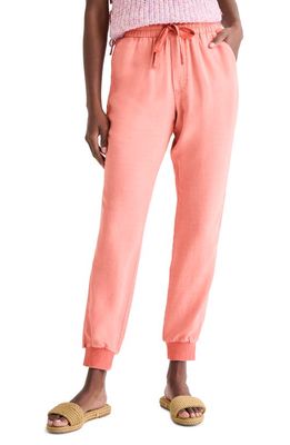 Splendid Mariella Tie Waist Joggers in Terra