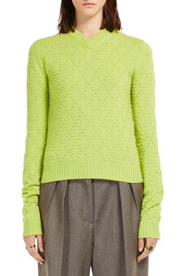 SPORTMAX Wool & Cashmere Sweater in Lime