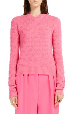 SPORTMAX Wool & Cashmere Sweater in Pink