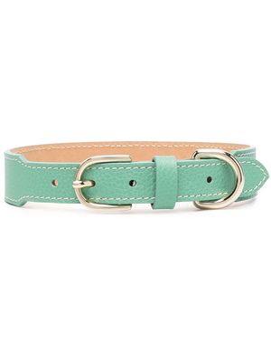 Sporty & Rich leather pet collar - Green