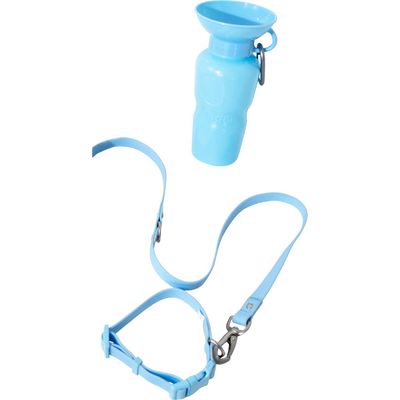 Springer Dog Leash & 15 oz. Water Bottle Set in Sky Blue