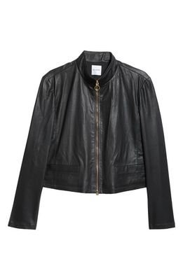St. John Collection Stretch Leather Jacket in Black