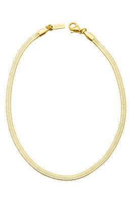 st. Moran Edie Herringbone Chain Anklet in Gold 