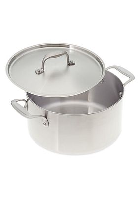 Stainless Steel 6-Qt Stock Pot & Cover