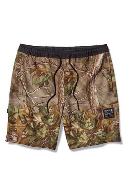 Stance Complex Real Tree Drawstring Shorts in Camo