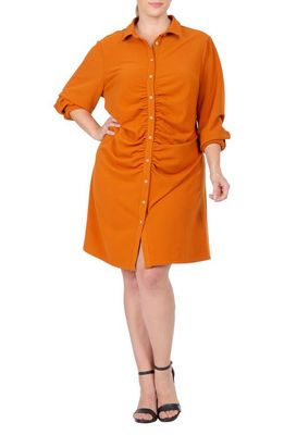 Standards & Practices Ruched Shirtdress in Henna Brown