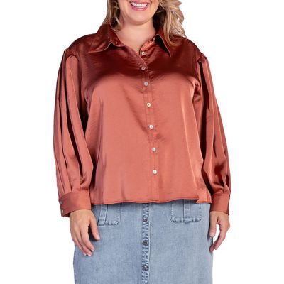 Standards & Practices Zeal Sateen Button-Up Blouse in Rust