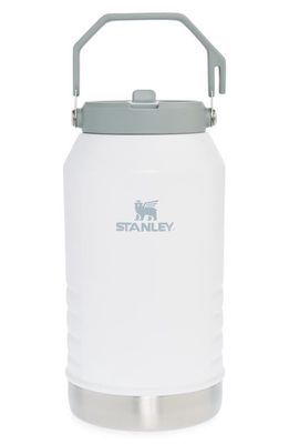 Stanley The Ice Flow 96-Ounce Flip Straw Tumbler in Polar 