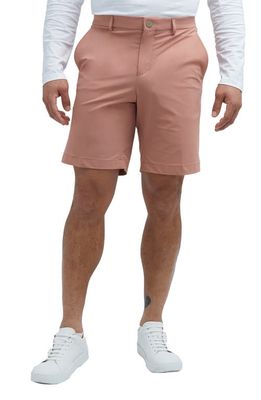 STATE OF MATTER Triton Shorts in Dusty Rose