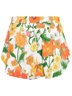 Stella McCartney floral-print track shorts - Orange