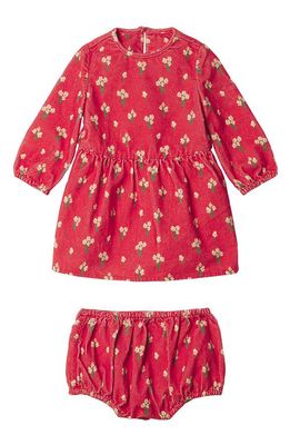 Stella McCartney Kids Floral Print Corduroy Dress & Bloomers Set in Orange