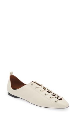 Stella McCartney Terra Lace-Up Ballerina Flat in Greggio